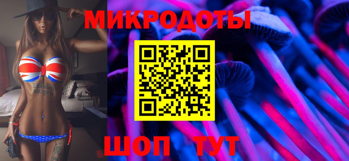 Галлюциногенные грибы Psilocybine cubensis  Вход с VPN  Долгопрудный  Галлюциногенные грибы мицелий 